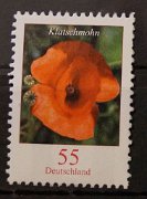 bd-2472-ra01-00500-ul4 2  dsc03704 - kopie (2) 055 ct klatschmohn