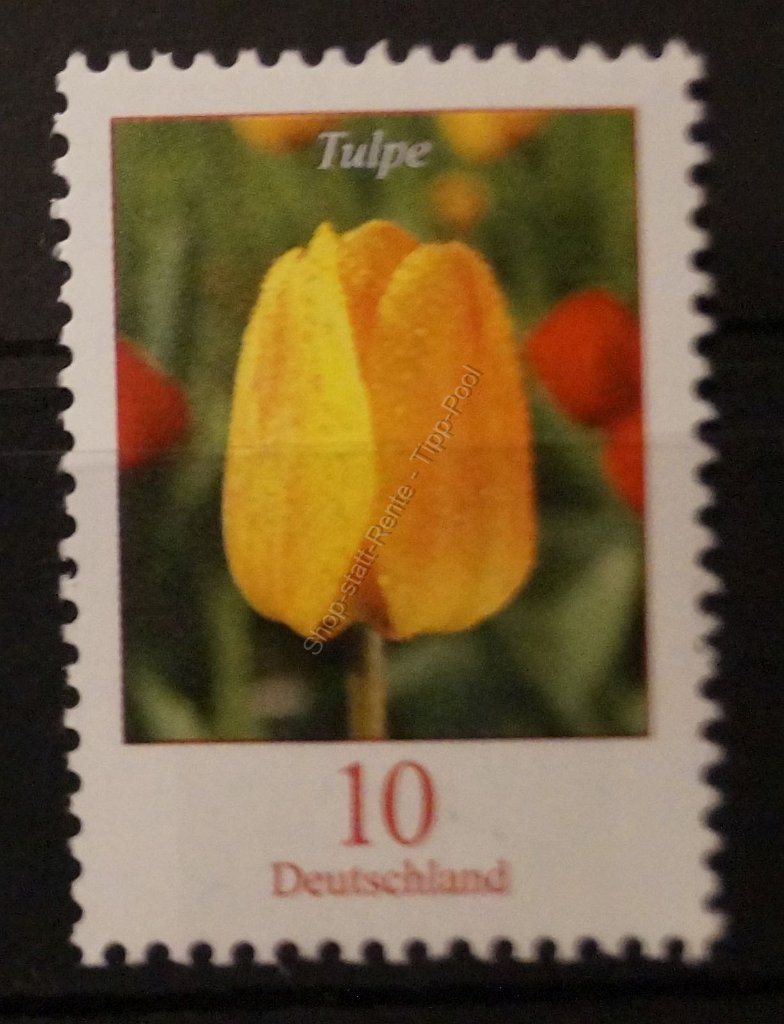 bd-2484-ra01-00500-ur3 1  dsc03705 - kopie (2) 010 ct tulpe