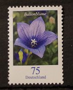 bd-2835-ren5-00000-or3 3  dsc03701 075 ct ballonblume