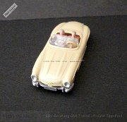 ww2-0233-01-mb-300-sl-gruenbeige-top-060-dscf9556