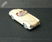 ww2-0233-01-mb-300-sl-gruenbeige-top-060-dscf9560